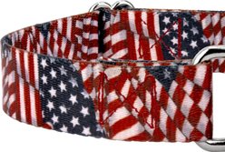 Country Brook Petz Patriotic Tribute Martingale Dog Collar, Small: 11 to 15-in neck, 5/8-in wide slide 2 of 7