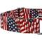 Show in main carousel: Country Brook Petz Patriotic Tribute Martingale Dog Collar, X-Large: 23 to 31-in neck, 1-in wide slide 8 of 8
