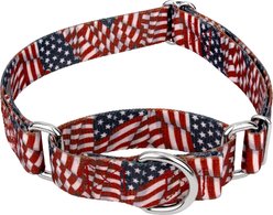 Country Brook Petz Patriotic Tribute Martingale Dog Collar, Small: 11 to 15-in neck, 5/8-in wide