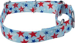 Country Brook Petz American Celebration Martingale Dog Collar, XX-Small: 7 to 10-in neck, 1/2-in wide slide 2 of 5