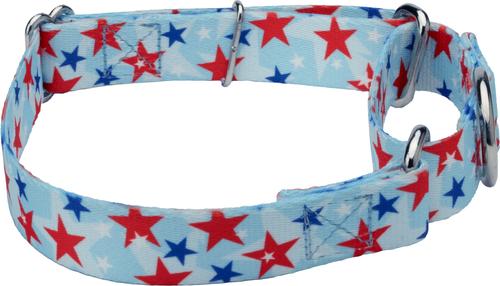 Show full view: Country Brook Petz American Celebration Martingale Dog Collar, Large: 18 to 26-in neck, 1-in wide slide 4 of 5