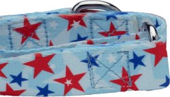 Country Brook Petz American Celebration Martingale Dog Collar, X-Large: 23 to 31-in neck, 1-in wide slide 2 of 5