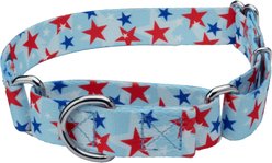 Country Brook Petz American Celebration Martingale Dog Collar, Large: 18 to 26-in neck, 1-in wide