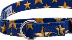 Country Brook Petz Duty Honor Country Martingale Dog Collar, XX-Small: 7 to 10-in neck, 1/2-in wide slide 2 of 7