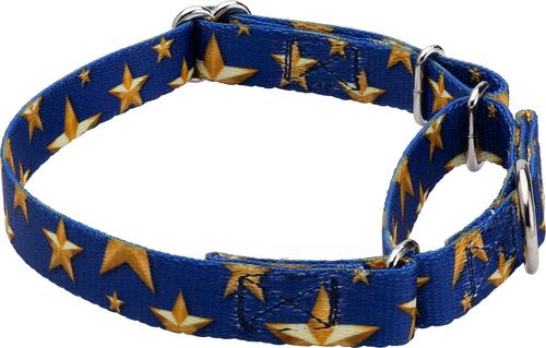 Show full view: Country Brook Petz Duty Honor Country Martingale Dog Collar, XX-Small: 7 to 10-in neck, 1/2-in wide slide 6 of 7