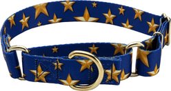 Country Brook Petz Duty Honor Country Martingale Dog Collar, X-Large: 23 to 31-in neck, 1-in wide