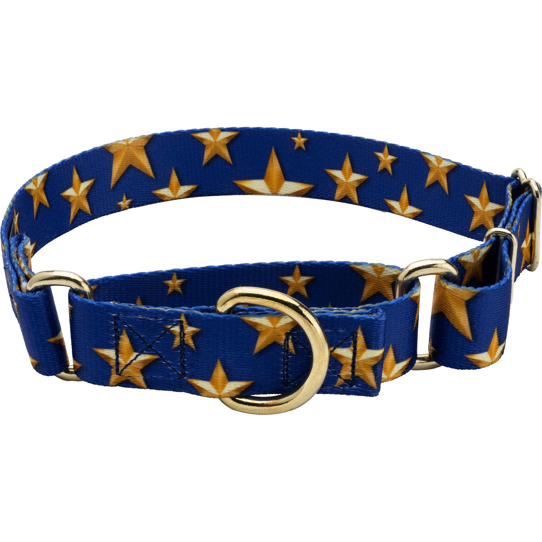 Country Brook Petz Duty Honor Country Martingale Dog Collar, Large: 18 to 26-in neck, 1-in wide