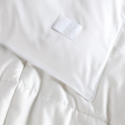 Show full view: SIJO AiryWeight Cooling Eucalyptus Comforter, White, Twin / Twin XL slide 3 of 5