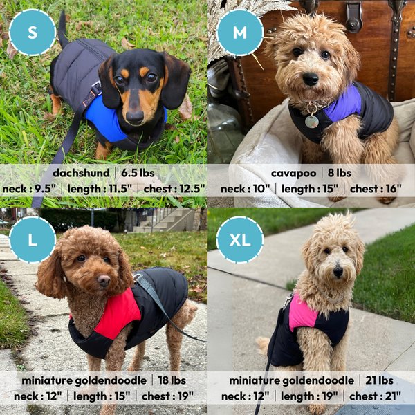Show full view: Gooby Padded Dog Vest, Pink, Medium slide 5 of 5