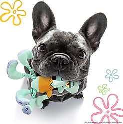 SpongeBob Squidward Squeaky Plush Dog Rope Toy, Blue slide 2 of 6