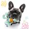 Show in main carousel: SpongeBob Squidward Squeaky Plush Dog Rope Toy, Blue slide 4 of 8