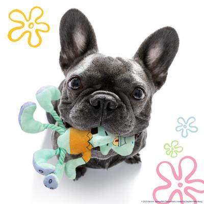 Show full view: SpongeBob Squidward Squeaky Plush Dog Rope Toy, Blue slide 4 of 8