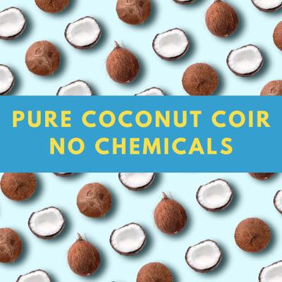 Show full view: CatSpot Litter Clumping Coconut Cat Litter, 8.5-lb bag slide 4 of 10