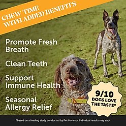 Pet Honesty Allergy Support Pumpkin Flavored Dental Sticks for Dogs, 30 count slide 2 of 8