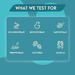 Affordable Pet Labs Total Fecal Tests Plus Giardia for Dogs slide 2 of 7