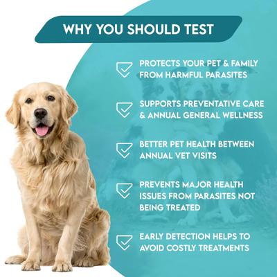 Show full view: Affordable Pet Labs Total Fecal Tests Plus Giardia for Dogs slide 6 of 8