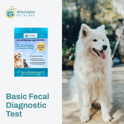 Show full view: Affordable Pet Labs Basic Fecal Diagnostic Test for Dogs slide 3 of 5