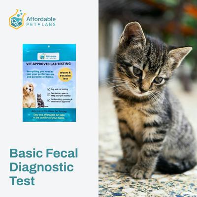 Show full view: Affordable Pet Labs Basic Fecal Diagnostic Test for Cats slide 3 of 5