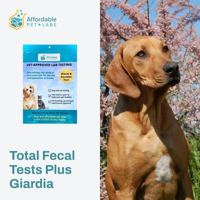 Show full view: Affordable Pet Labs Total Fecal Tests Plus Giardia for Dogs slide 3 of 8