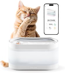 Petcube Wireless Dog & Cat Water Fountain, Steel slide 1 of 6