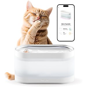 Petcube Wireless Dog & Cat Water Fountain, Steel