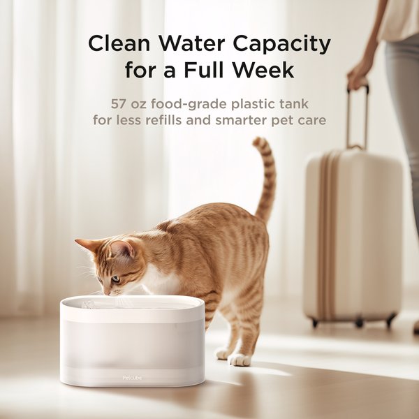 Petcube Wireless Dog & Cat Water Fountain