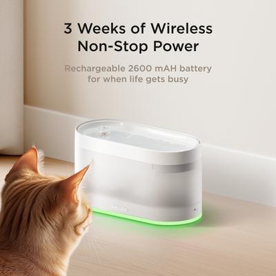 Show full view: Petcube Wireless Dog & Cat Water Fountain, Steel slide 4 of 6