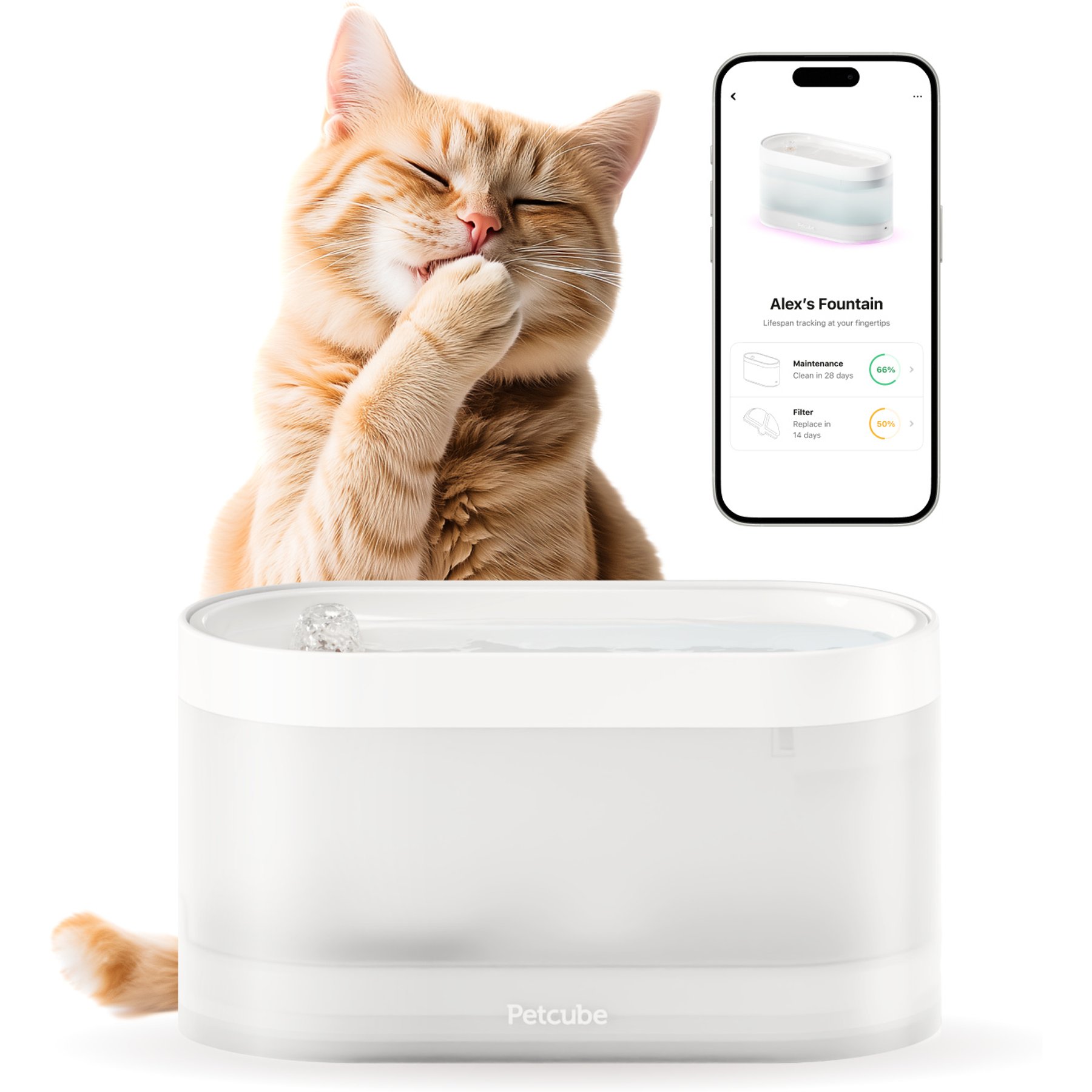 Petcube Wireless Dog & Cat Water Fountain, White