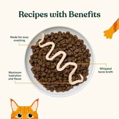 Show full view: Made by Nacho Duo Mousse Chicken & Salmon Recipe Grain-Free Lickable Cat Treat, 0.5-oz tube, 12 count slide 5 of 8