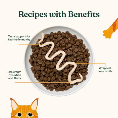 Show full view: Made by Nacho Immunity Support with Bone Broth Mousse Grain-Free Lickable Cat Treat, 0.5-oz tube, 12 count slide 5 of 8