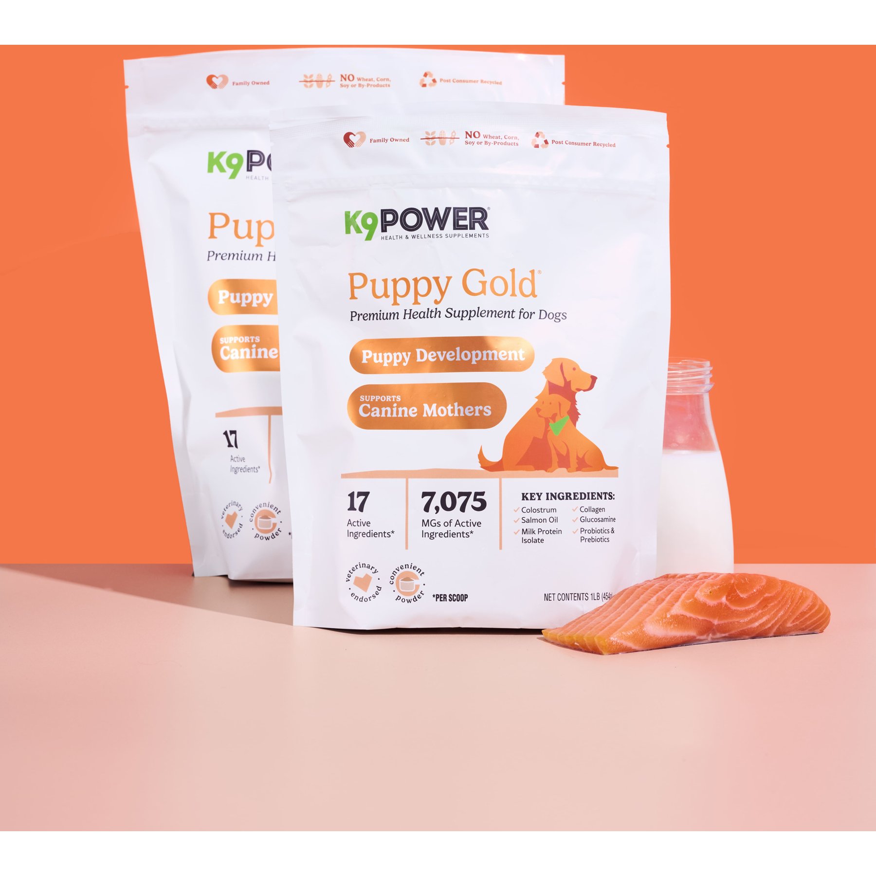 K9 POWER Puppy Gold Pork Flavored Powder Milk Supplement for Dogs, 3-lb