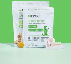 K9 POWER Joint Strong Chicken Flavored Powder Joint Supplement for Dog, 3-lb