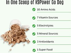 K9 POWER Go Dogs Vitamin Supplement for Dogs, 1-lb slide 2 of 4