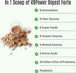 K9 POWER Digest Forte Digestive Health Dog Supplement, 1-lb slide 2 of 4