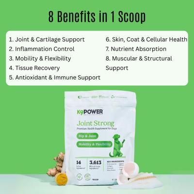 Show full view: K9 POWER Joint Strong Joint Health & Mobility Dog Supplement, 1-lb slide 4 of 12