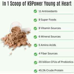 K9 POWER Young At Heart Nutritional Senior Dog Supplement, 1-lb