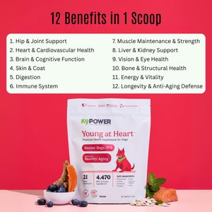 K9 POWER Young At Heart Nutritional Senior Dog Supplement, 1-lb