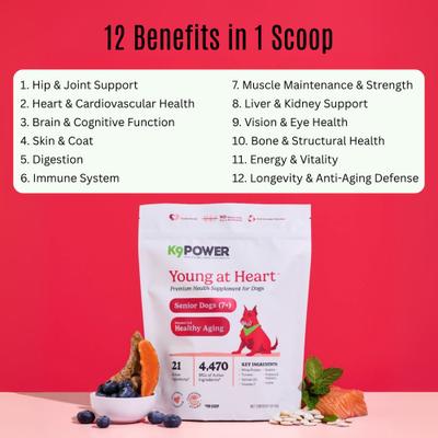 Show full view: K9 POWER Young At Heart Nutritional Senior Dog Supplement, 1-lb slide 3 of 9