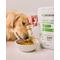 Show in main carousel: K9 POWER Joint Strong Joint Health & Mobility Dog Supplement, 1-lb slide 6 of 12