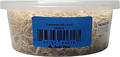 Josh's Frogs Waxworms Live Feed Reptile Food, 50 count slide 1 of 8