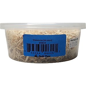 Josh's Frogs Waxworms Live Feed Reptile Food, 50 count