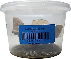 Josh's Frogs Silkworms Live Feed Reptile Food, Small, 25 count