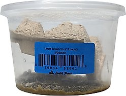 Josh's Frogs Silkworms Live Feed Reptile Food, Large, 12 count