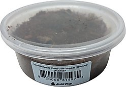 Josh's Frogs Porcellio Laevis 'Dairy Cow' Isopods Live Feed Reptile Food, 10 count