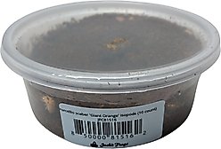 Josh's Frogs Porcellio Scaber 'Orange' Isopods Live Feed Reptile Food, 10 count