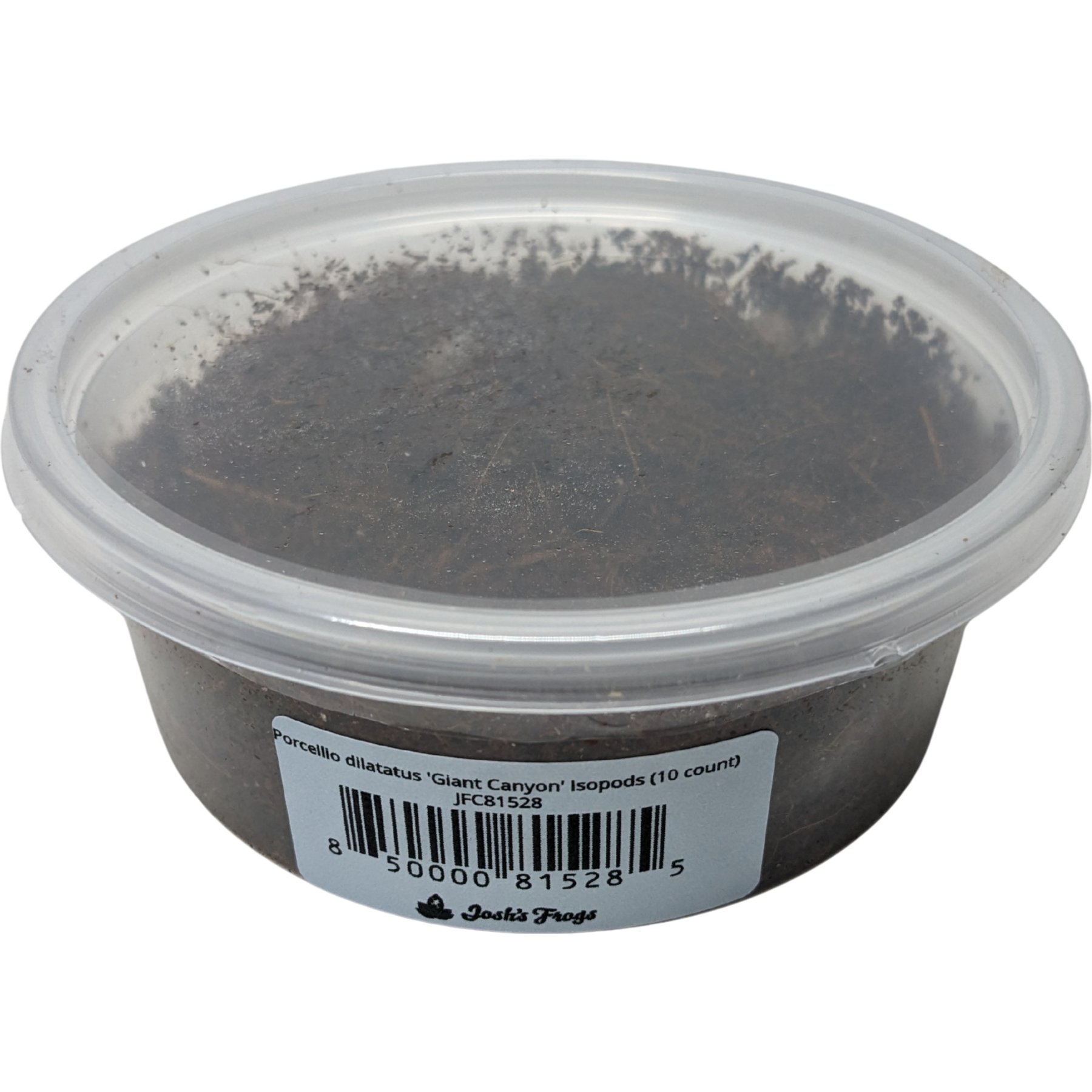 Josh's Frogs Porcellio Dilatatus 'Giant Canyon' Isopods Live Feed Reptile Food, 10 count