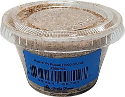 Josh's Frogs House Fly Pupae Live Feed Reptile Food, 1000 count