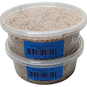 Josh's Frogs Giant Mealworms Live Feed Reptile Food, 500 count