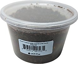 Josh's Frogs Dwarf Tropical White Isopods Live Feed Reptile Food, 100 count