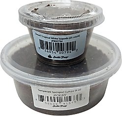 Josh's Frogs Bioactive Bundle Live Feed Reptile Food: Dwarf Tropical White Isopods, 25 count + Temperate Springtails, 8-oz